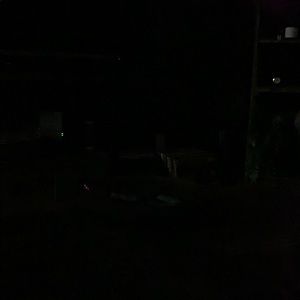 Meet your Posher, Danene